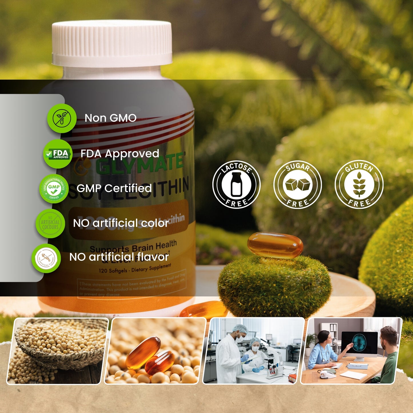 Soy Lecithin 1200mg