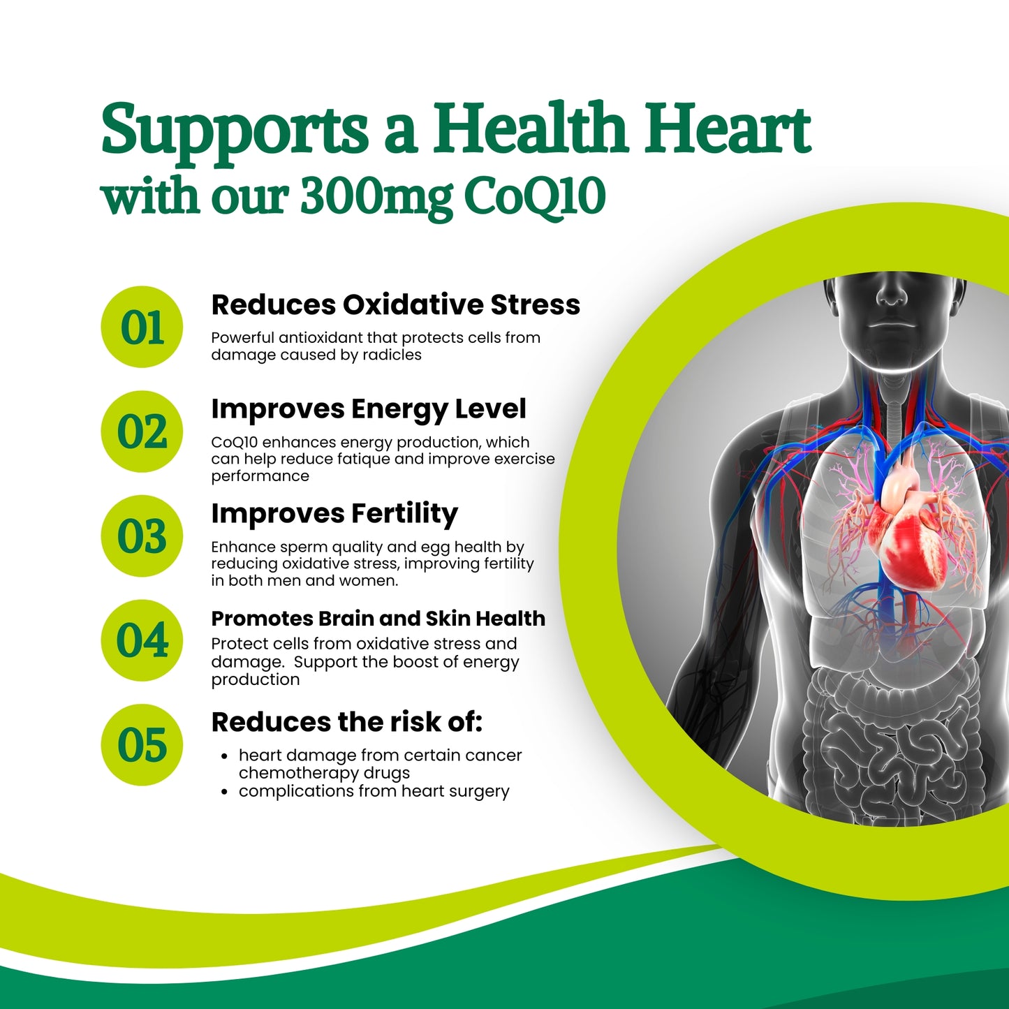 CoEnzyme Q10 300mg